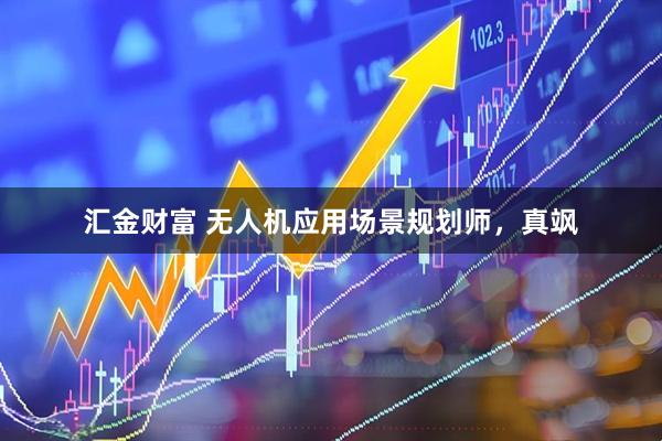 汇金财富 无人机应用场景规划师，真飒