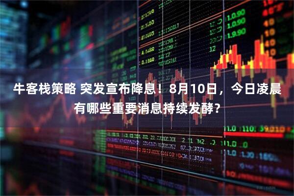 牛客栈策略 突发宣布降息！8月10日，今日凌晨有哪些重要消息持续发酵？