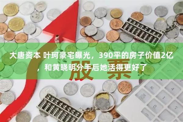 大唐资本 叶珂豪宅曝光，390平的房子价值2亿，和黄晓明分手后她活得更好了