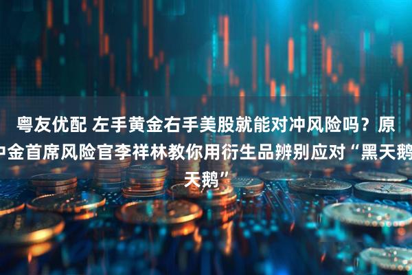 粤友优配 左手黄金右手美股就能对冲风险吗？原中金首席风险官李祥林教你用衍生品辨别应对“黑天鹅”